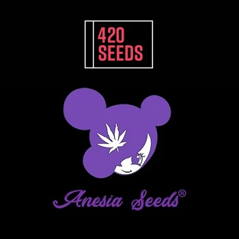 25% Off Anesia Seeds - 420 Seeds Discount Code