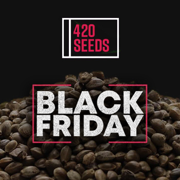 42% Off 420 Seedbank  - 420 Seeds Promo Code