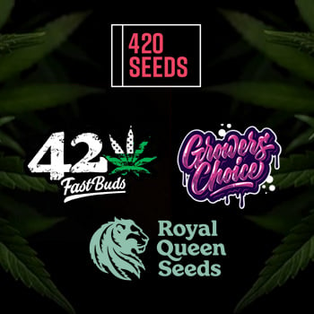 35% Off Top Breeder Sale - 420 Seeds Promo Code