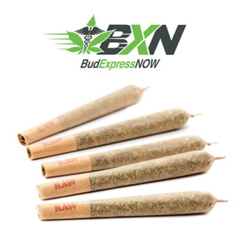 5 FREE Pre-Rolled Joints - BudExpressNow Discount Code