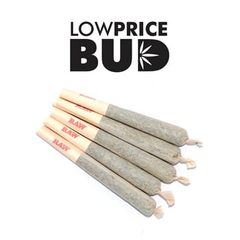 5 FREE Pre-Rolls at Low Price Bud - Coupon Code