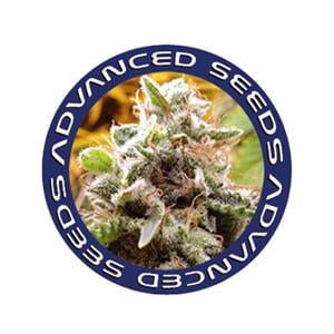 Advanced Seeds BONUS  at Herbies Seeds - Coupon Code