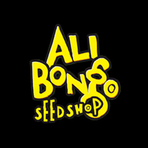 20% Off Entire Store  - Ali Bongo Seeds Coupon Code