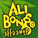 Ali Bongo Seeds