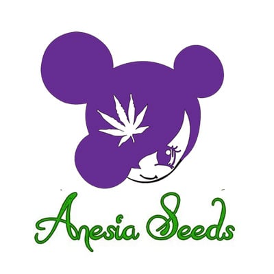 Anesia Seeds BONUS at Seed City - Coupon Code