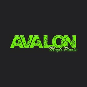 Black Friday - 25% Off Everything at Avalon Magic Plants - Coupon Code