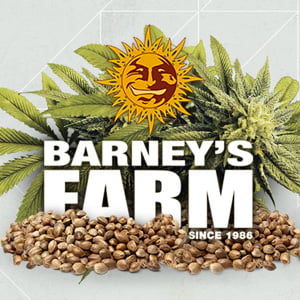 20% Off High Yielders at BarneysFarm.com - Coupon Code