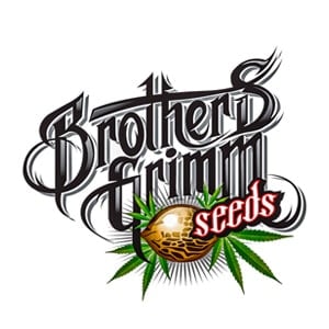 Brothers Grimm BONUS at Seed City - Coupon Code
