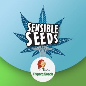 Expert Seeds MEGA BONUS at Sensible Seeds - Coupon Code