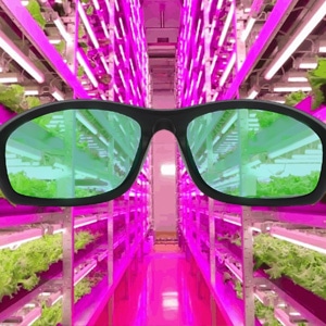 Grow Room Glasses - Only $15 - Amazon.com Discount Code