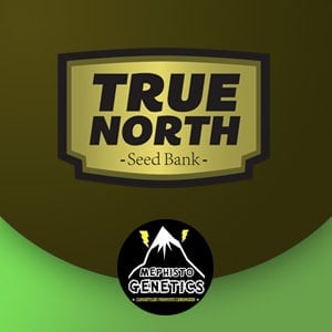 20% Off Mephisto Genetics at True North Seed Bank - Coupon Code