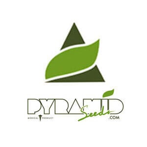Pyramid Seeds BONUS - Original Seeds Store Promo Code