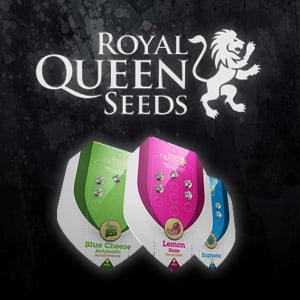 Extra 3 FREE Seeds - Royal Queen Seeds Coupon Code