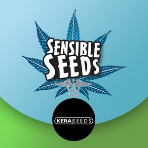 Kera Seeds - Buy 1 Get 1 FREE  at Sensible Seeds - Coupon Code