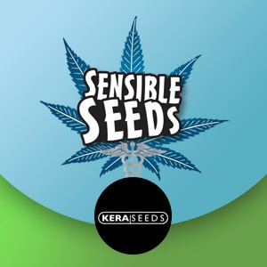 Kera Seeds - Buy 1 Get 1 FREE  - Sensible Seeds Coupon Code