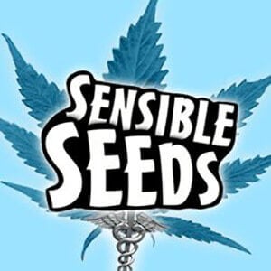 10% Off Any Order  - Sensible Seeds Promo Code