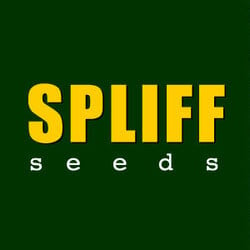 Spliff Seeds BONUS  at Sensible Seeds - Coupon Code