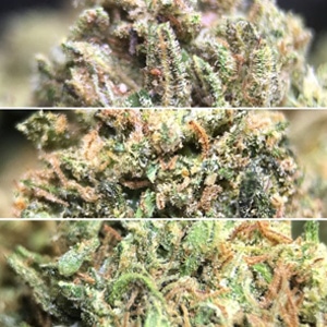25% Off Top Shelf Mix & Match Ounces - The Green Ace Discount Code