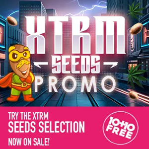 XTRM Strains - Buy 10 Get 10 FREE - Amsterdam Marijuana Seeds Promo Code