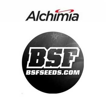 BSF Seeds - BOGOF - Alchimia Grow Shop Coupon Code