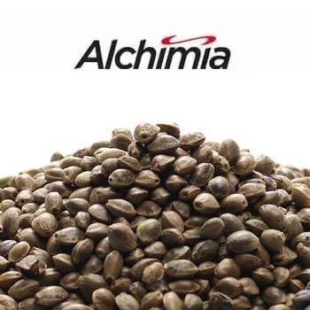 30% Off Cannabis Seeds - Alchimia Grow Shop Promo Code