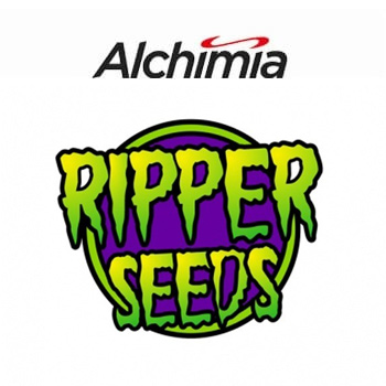 15% Off Ripper Seeds - Alchimia Grow Shop Coupon Code