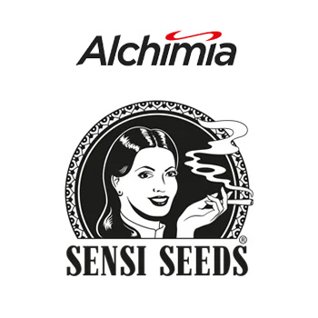 33% Off Sensi Seeds - Alchimia Grow Shop Promo Code