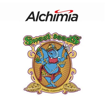 Sweet Seeds - Buy 5 Get 5 FREE  - Alchimia Grow Shop Coupon Code