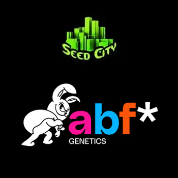 Always Be Flowering BONUS - Seed City Coupon Code