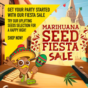 Cinco De Mayo - Buy 10 Get 10 FREE - Amsterdam Marijuana Seeds Promo Code