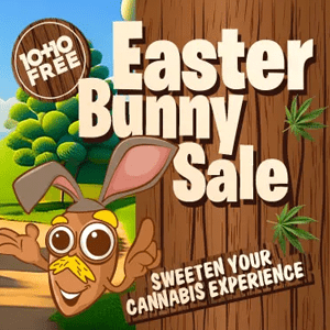 Easter Sale - Buy 10 Get 10 FREE - Amsterdam Marijuana Seeds Discount Code