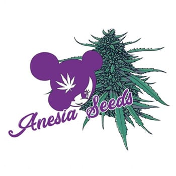 25% Off Anesia Seeds - Cannabis Seeds Outlet UK Discount Code