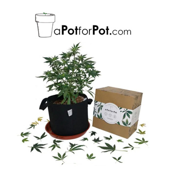 20% Off $50+ Spend - A Pot For Pot Discount Code