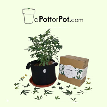 30% Off $200 Spend - A Pot For Pot Promo Code