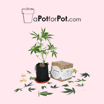 10% Off $40 Spend - A Pot For Pot Discount Code