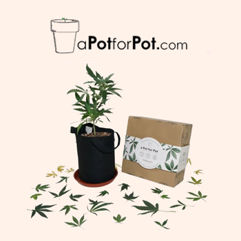 20% Off $100 Spend - A Pot For Pot Promo Code
