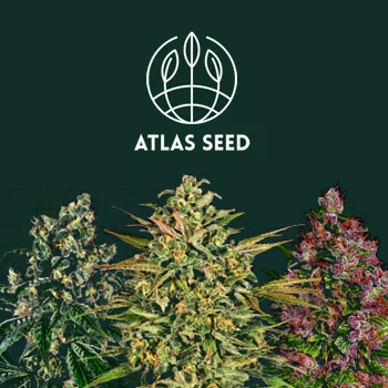 Buy 2 Get 1 FREE - Atlas Seed Discount Code