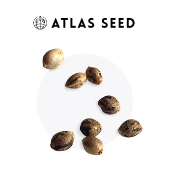 FREE Seeds With Every Pack - Atlas Seed Discount Code