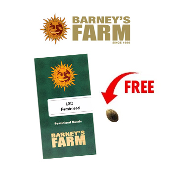 1 FREE Seed w/ 5-Packs - BarneysFarm.com Discount Code