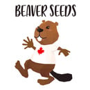 Beaver Seeds
