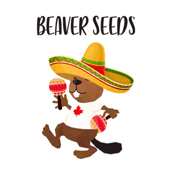 20% Off Cinco De Mayo Sale - Beaver Seeds Discount Code