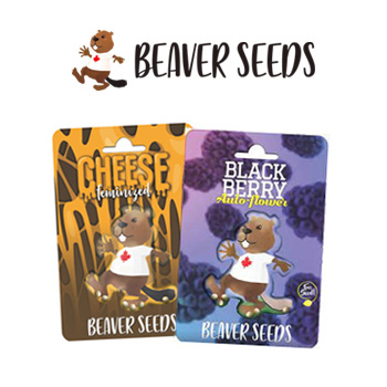 Buy One, Get One 95% Off - Beaver Seeds Coupon Code