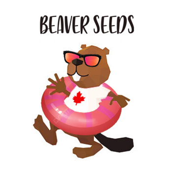 End Of Summer Sale - BOGOF - Beaver Seeds Promo Code