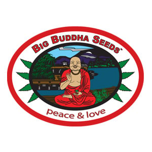 [DISC] Off Big Buddha Seeds  - Seedsman Discount Code