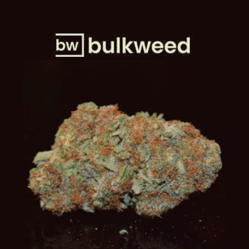 40% Off Big Gorilla (AAA+) - BulkWeed Discount Code