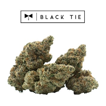 20% Off THC-A Flower - Black Tie CBD Discount Code