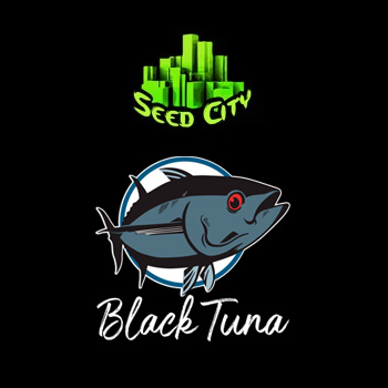 Black Tuna Seeds BONUS - Seed City Coupon Code