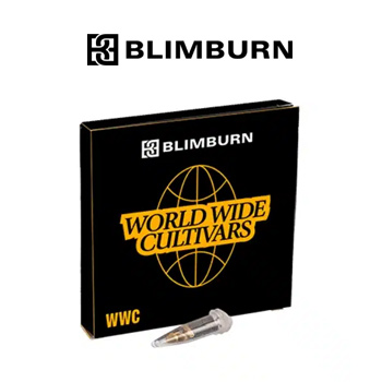 40% Off Selected 6-Packs - Blimburn Seeds Promo Code