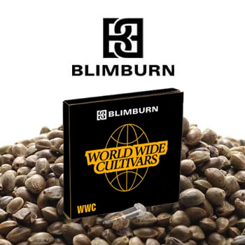 Selected 6-Packs - BOGOF - Blimburn Seeds Coupon Code