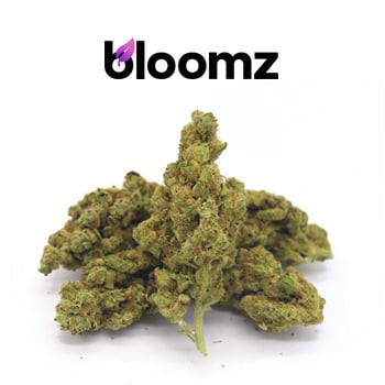 25% Off Legal Weed - Bloomz Promo Code